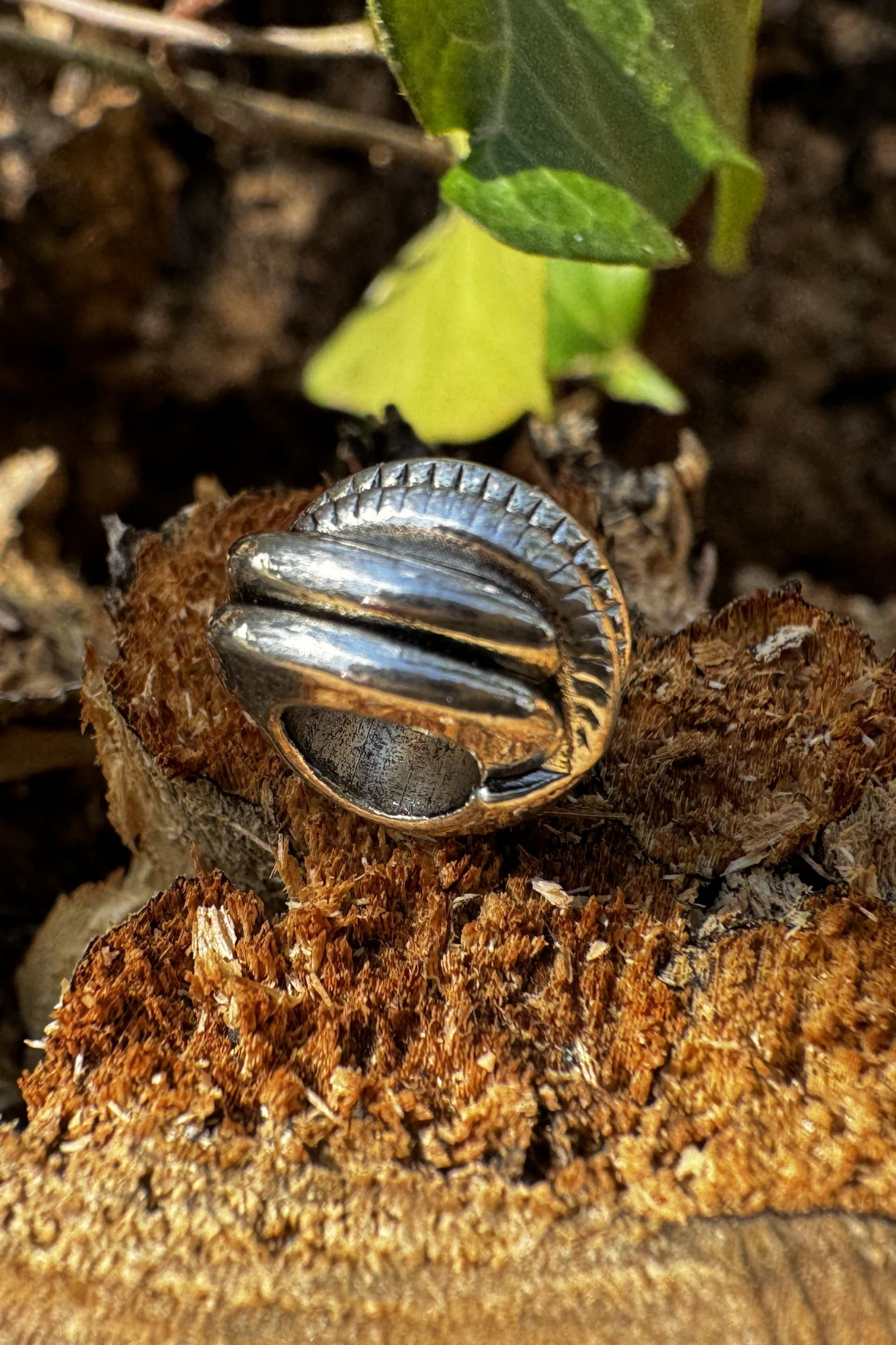 Perles Viking
